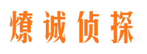 宜章市调查公司